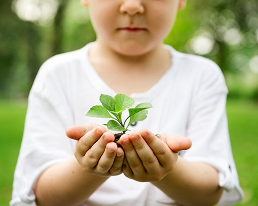 Soframap environnement et developpement durable Soframap environnement et developpement durable